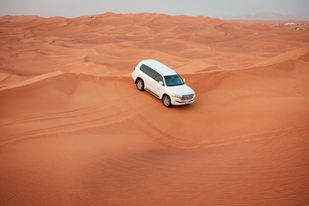 Everything You Need To Know About Desert Safari In Dubai