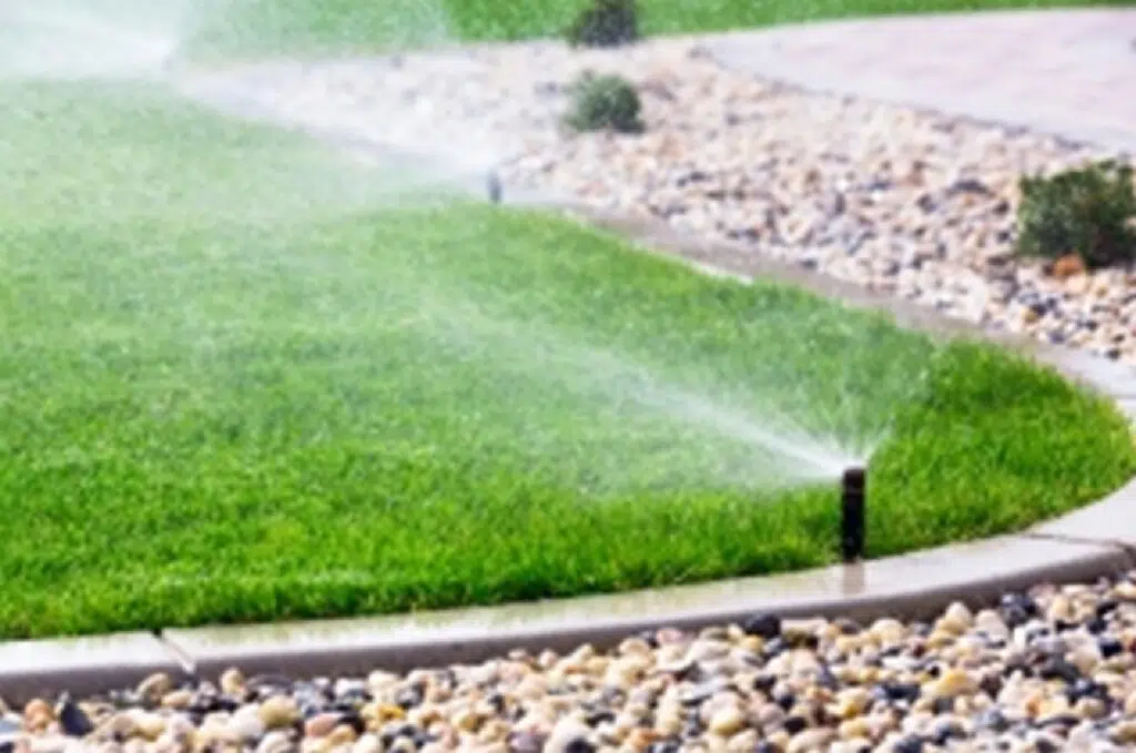 Four Essential Home Improvements For Pet-Owners
