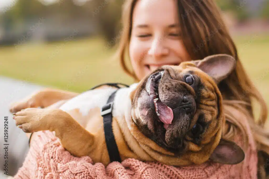 5 Benefits Of Getting An Emotional Support Animal