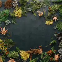 Autumn Theme In Interior Design: Tips And Advice