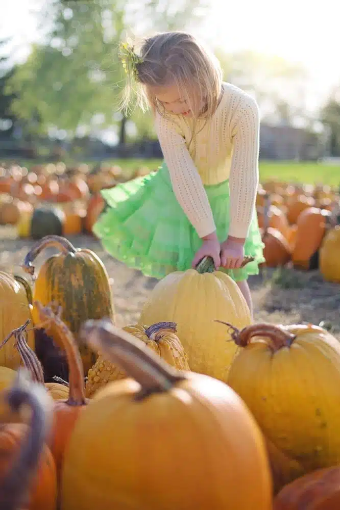 Fun Halloween Activities To Get You In The Spirit