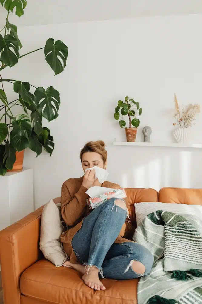 How To Manage A Home With Allergy Sufferers