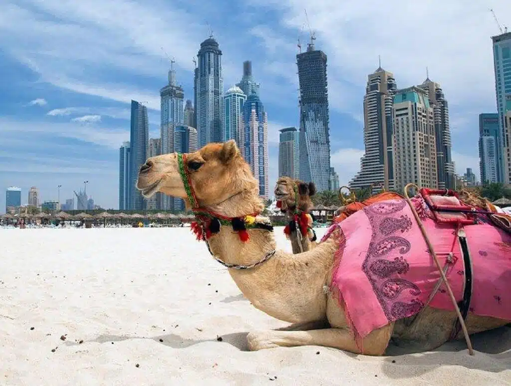 23 Exciting Things To Do In Dubai UAE
