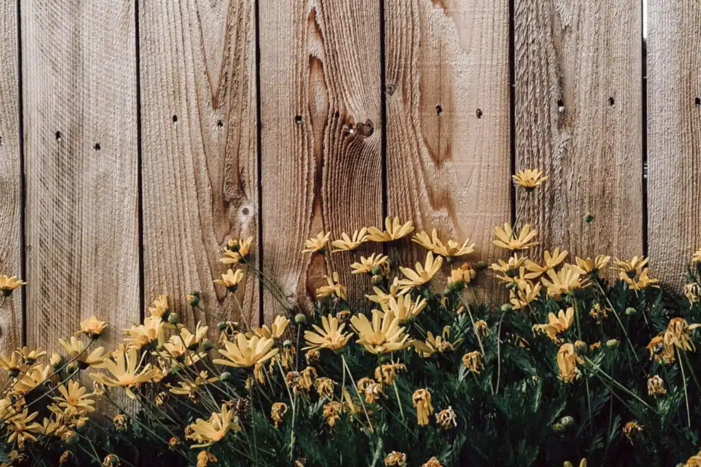 How To Select A Fence That Will Fit Your Needs