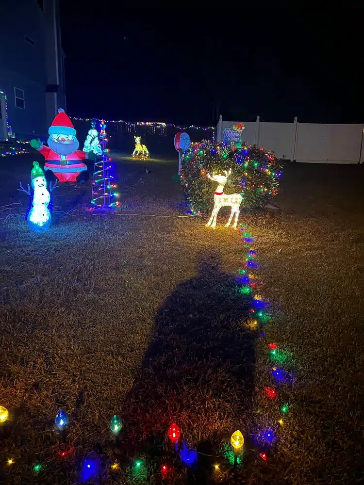 Light Up Your Life With Elegear LED Multicolor Christmas Lights