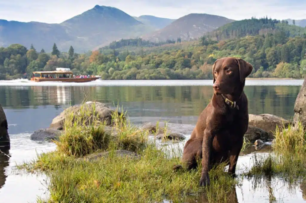 Best Family Activities To Do In the Lake District