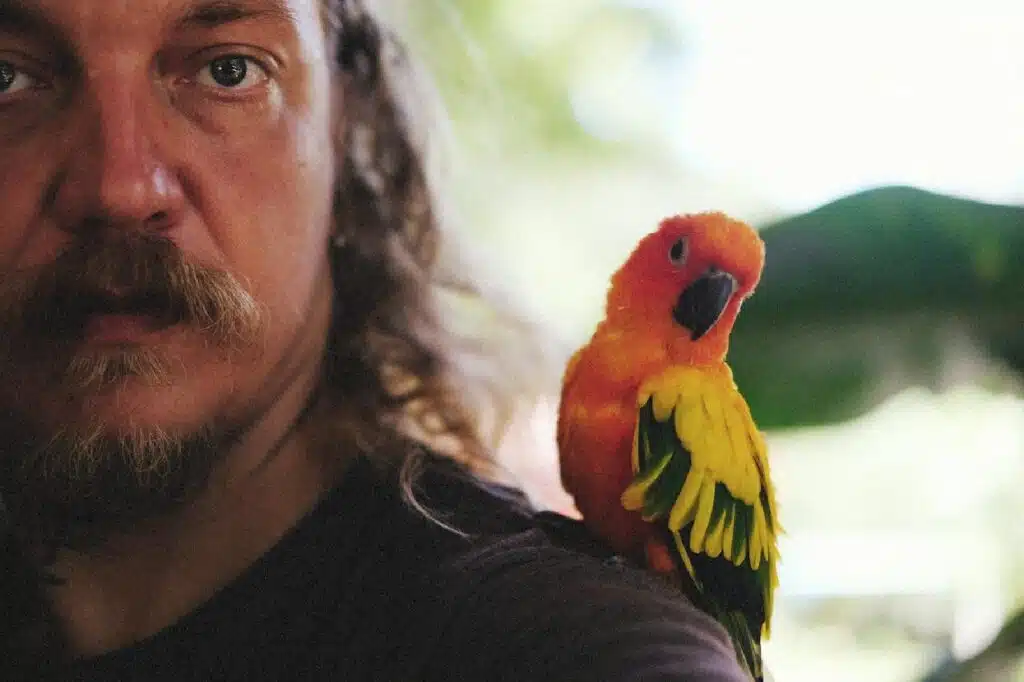 Having A Bird Pet: Top Tips You Need To Follow
