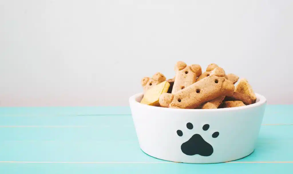 How Do I Choose The Best Dog Treats For My Four Legged Friend?