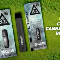 An Overview Of Cannabinoids: CBN Bulk