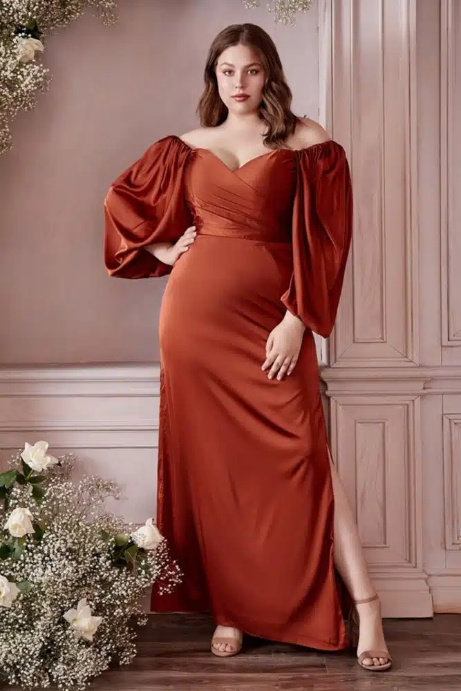 Does A Plus Size Fit You? Read This Article Before Buying Your Formal Plus Size Dresses