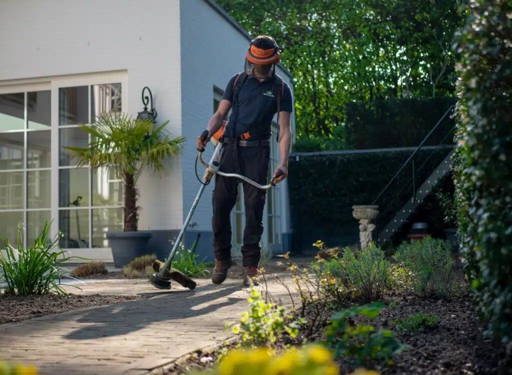 How To Take Care Properly Of Your Garden?