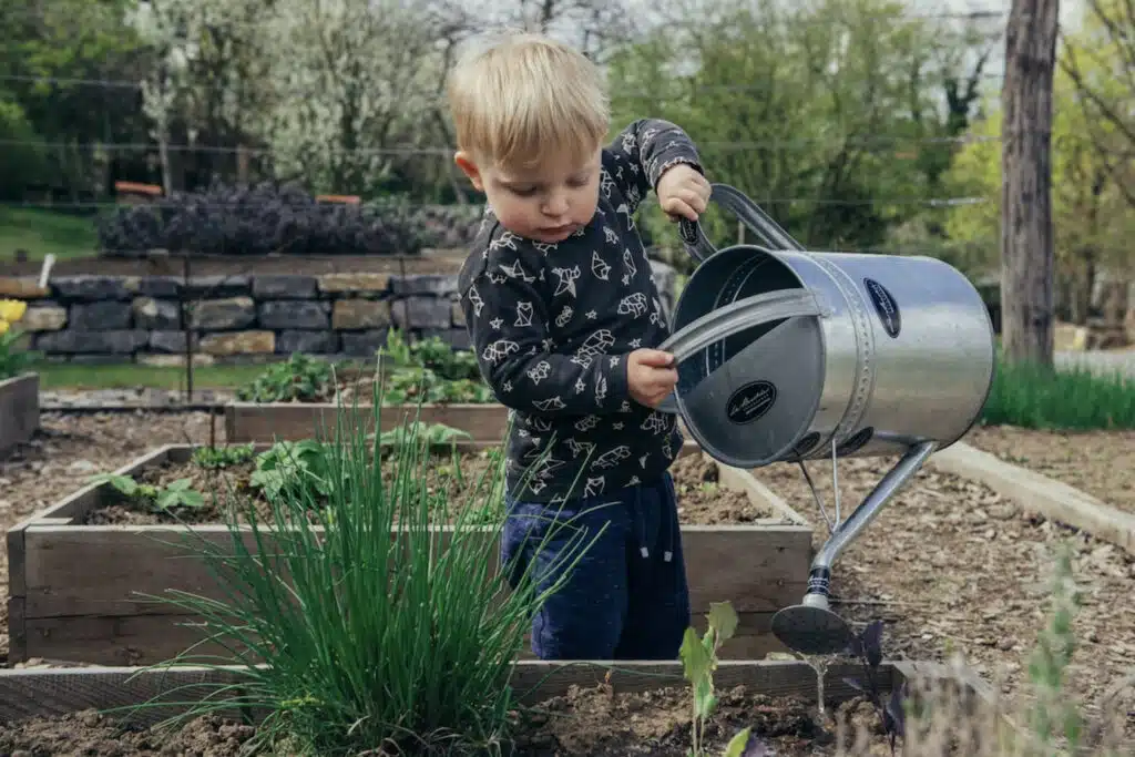 How To Take Care Properly Of Your Garden?