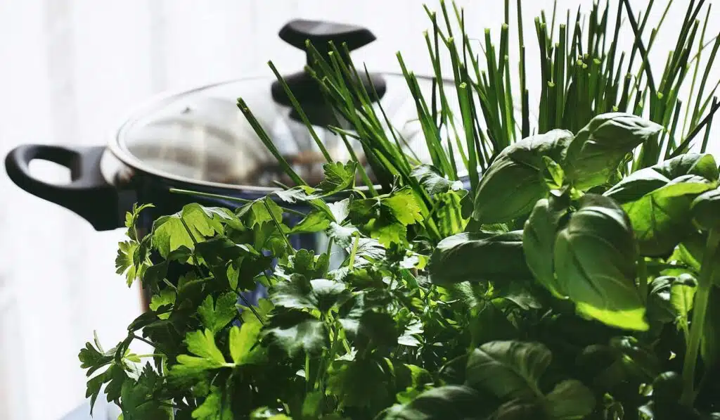 What Are The Benefits Of Growing Your Own Herbs?