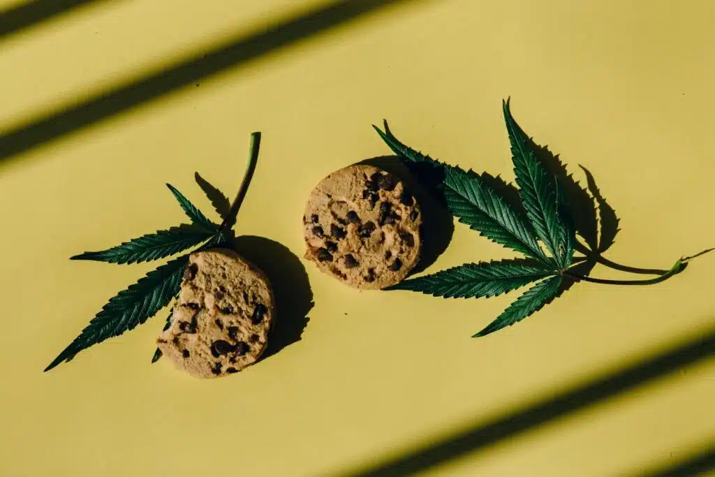 7 Tips To Know Which Weed Delivery Service Is The Best In Your Area