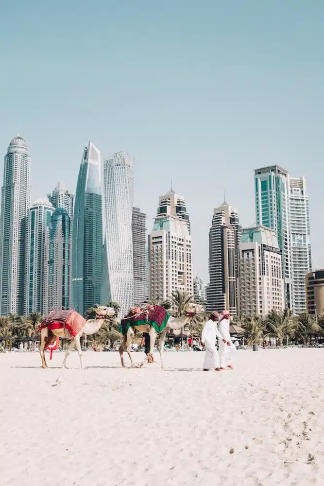 Explore The Best Of Dubai: Tours To Suit Your Style