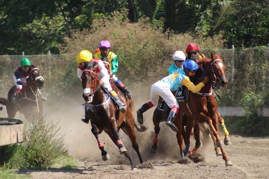 Horse Betting 101: 5 Tips To Increase Your Chances Of Winning