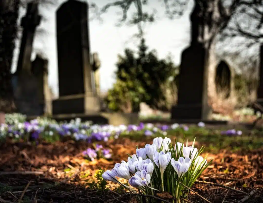 Crafting Eternal Remembrance: Timeless Monuments That Preserve Your Memories