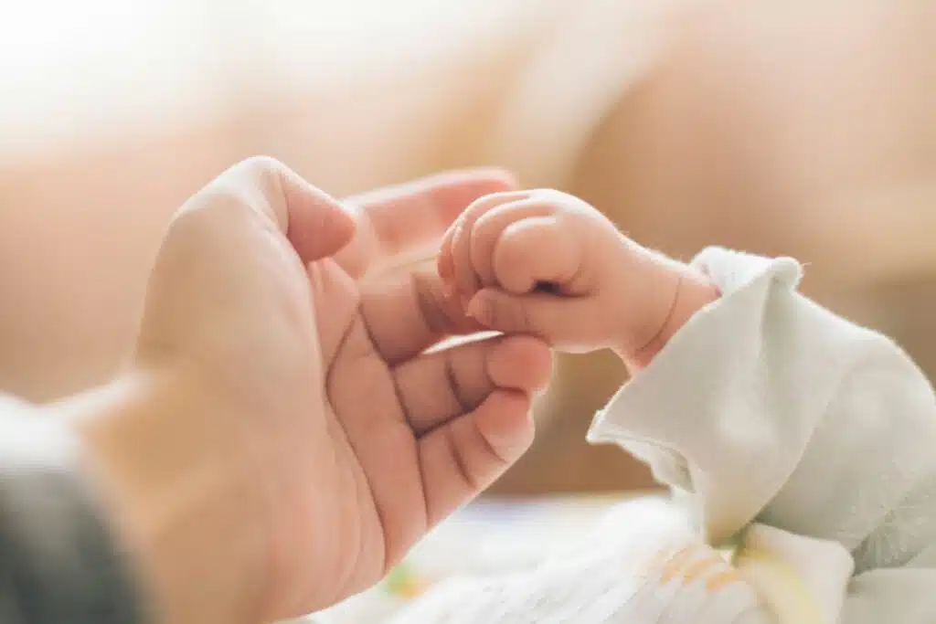 How Does An Egg Donor Program Work?