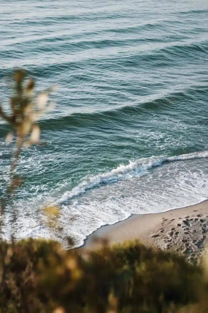 Live Like A Local: Rent A House In Folly Beach For Your Next Coastal Escape