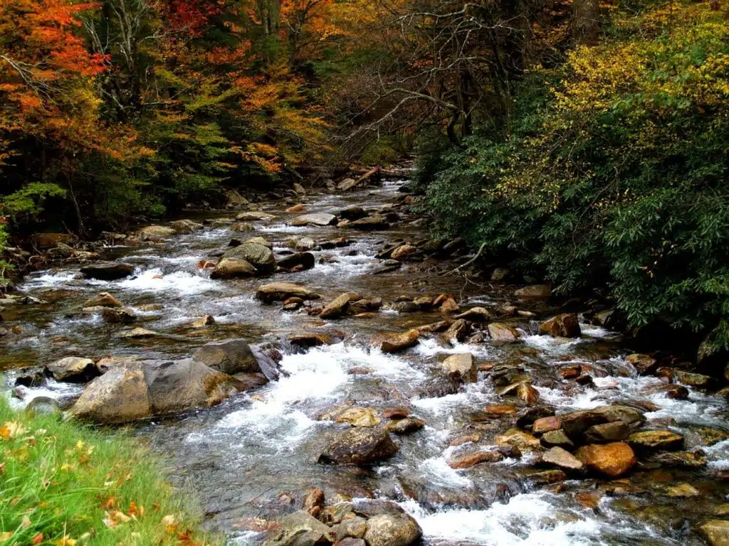 Six Things To Do On A Vacation With Family Near The Great Smoky Mountains
