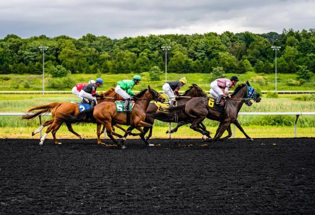 Top Horse Racing Betting Tips For Beginners