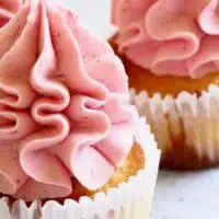 Cupcakes Galore: Fun And Creative Ideas For Bite-Sized Treats