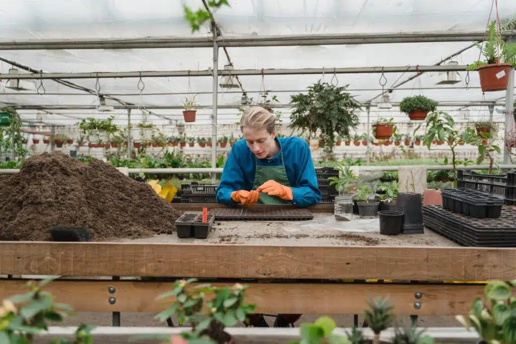 Fruit Tree Care Made Easy: A Beginner's Guide To Green Thumbs And Juicy Fruits