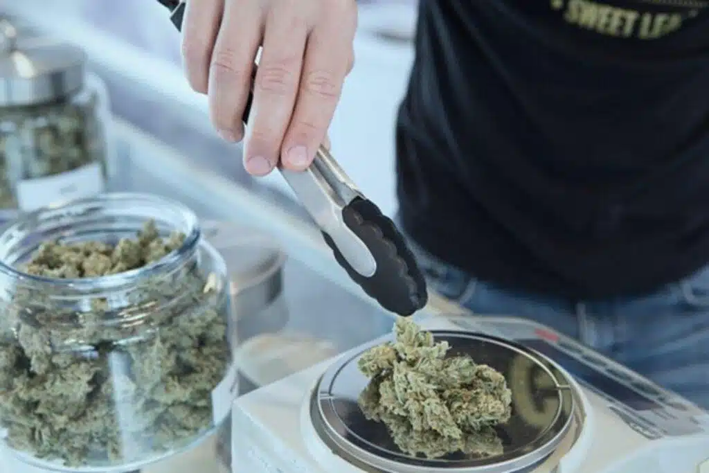 Must-Have Pre-Roll Cone Supplies For Cannabis Dispensaries
