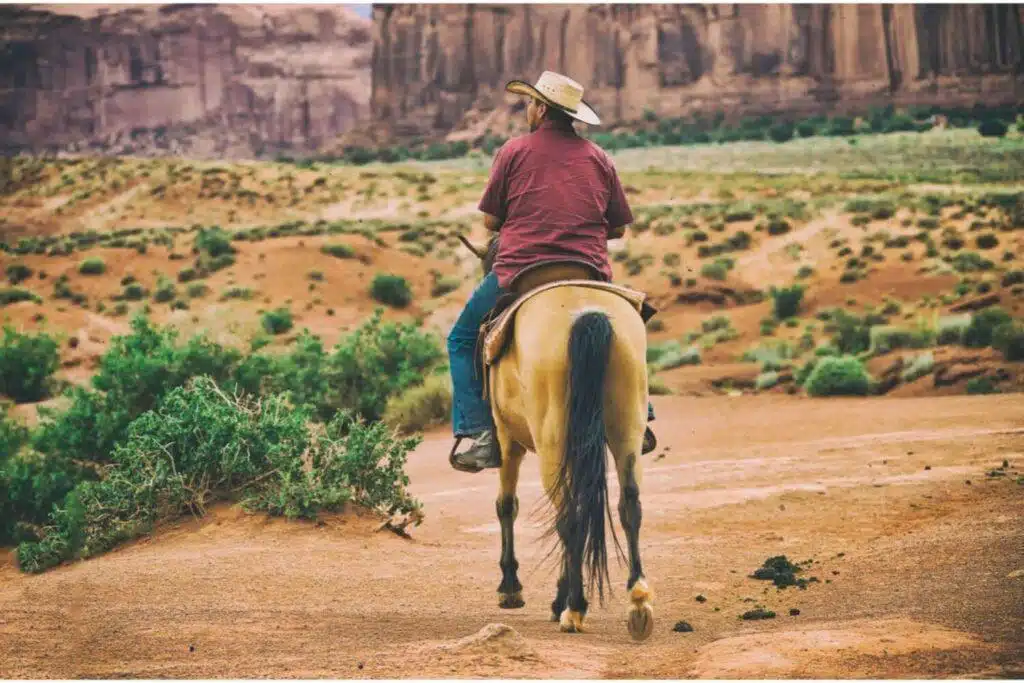 Essential Safety Measures For Horseback Riding