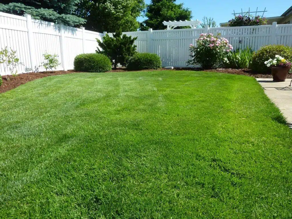 The Main Types of Vinyl Fencing for Your Property