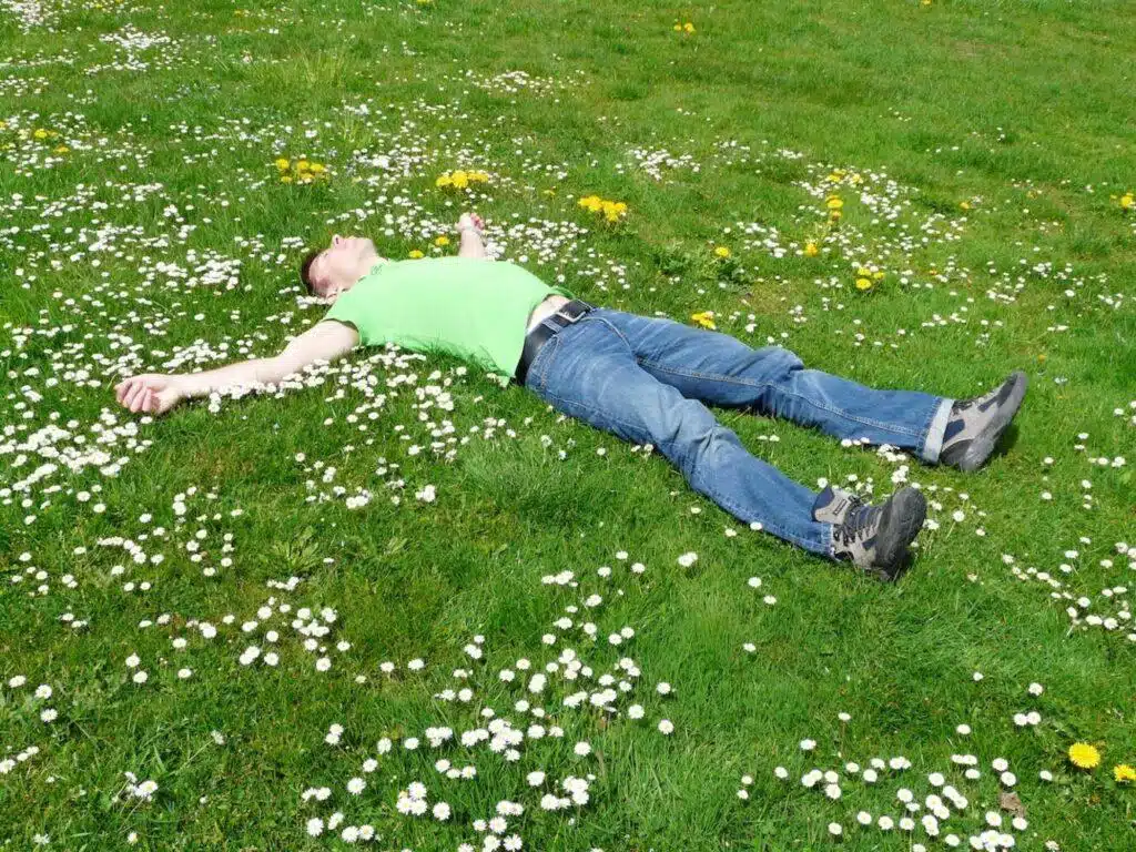 How To Have Perfect Green Lawns