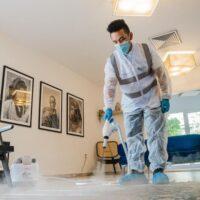 What Happens When You Have Your Carpets Professional Cleaned In Tennessee?