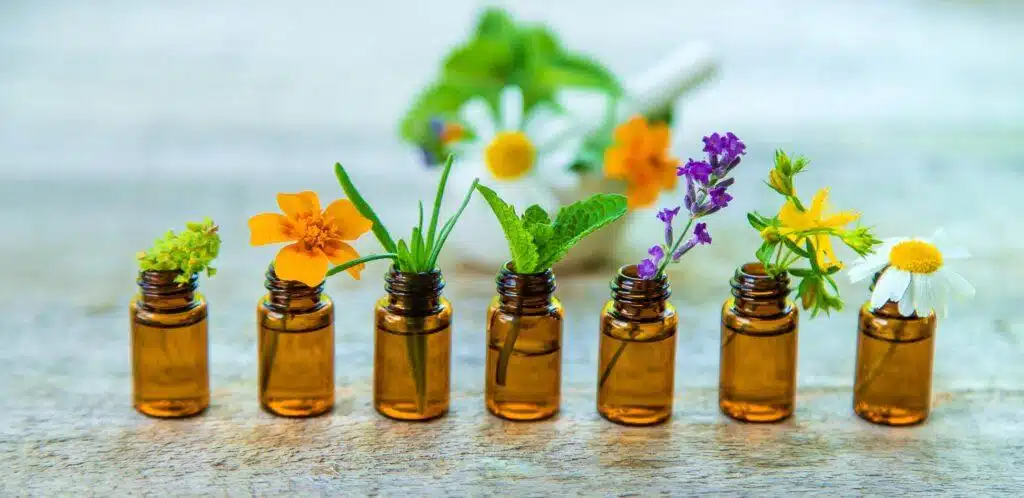 Top 4 Homeopathic Remedies You Need In Your First Aid Kit