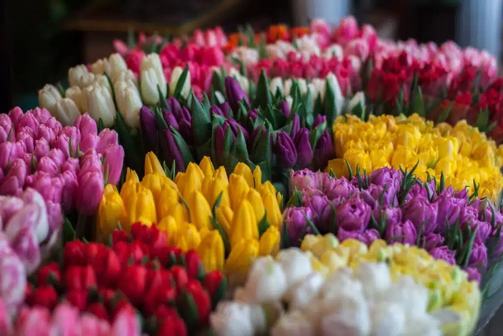 Floral Corporate Gifting: Elevating Business Relationships In Singapore