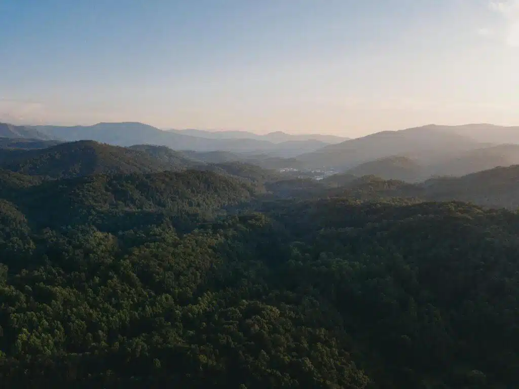 Aerial view of a vast, forested mountain landscape under a clear blue sky with a distant town nestled in the valley, perfect for a stress-free family vacation.