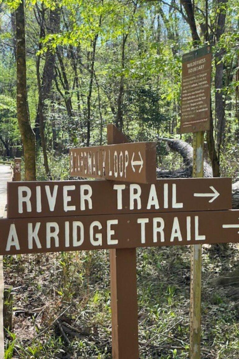Wooden trail signs in a forest marking directions for River Trail, Akridge Trail, and Blackhawk Loop in Congaree National Park. Additional informational signs are shown in the background, guiding hikers through some of the best South Carolina hiking trails.