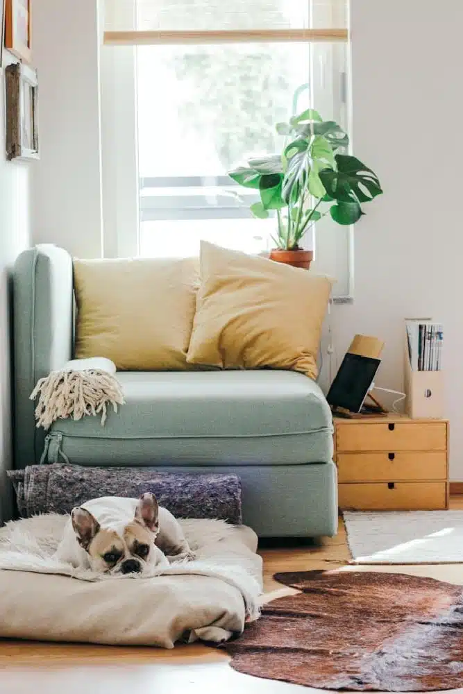 What Are Home Furnaces?