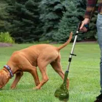 Invest In An Efficient Tool For Pet Waste Management That Won't Let You Down