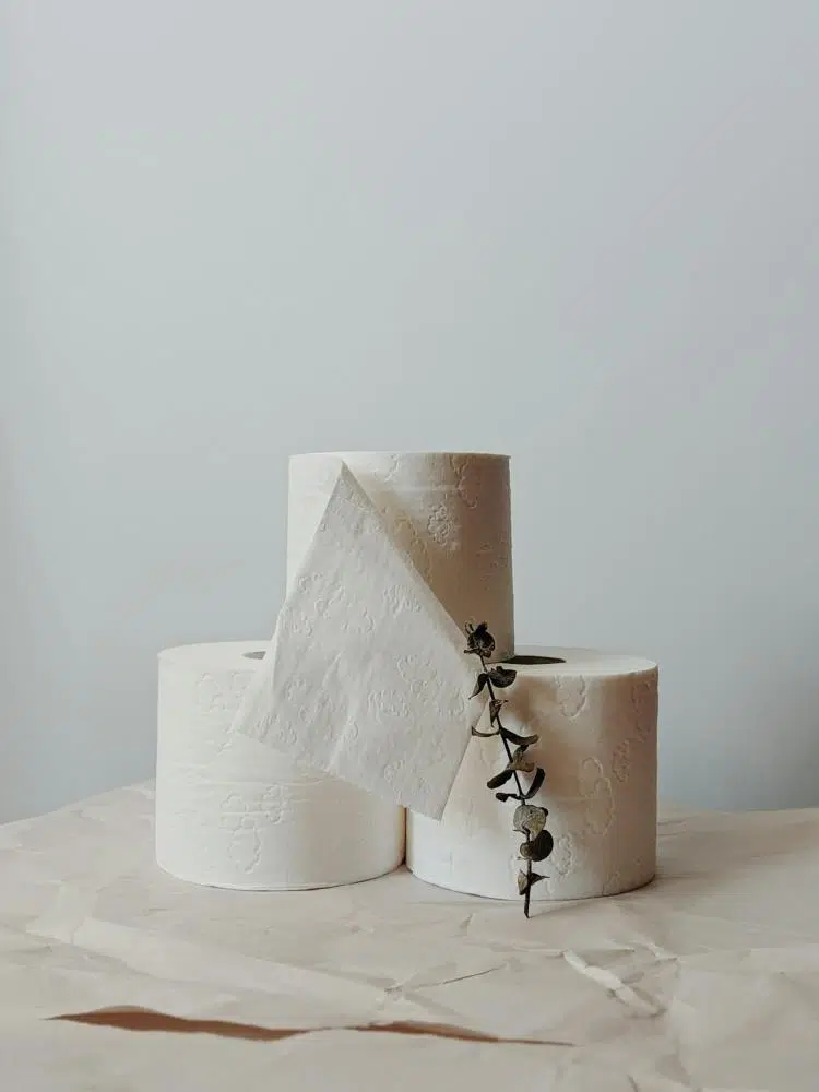 Household Essentials That Make Sense To Buy In Bulk