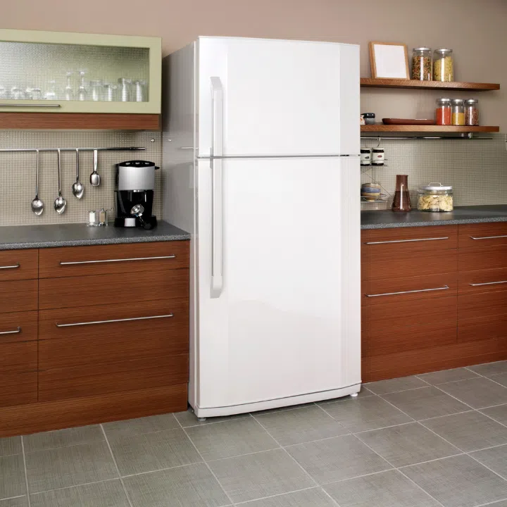 1. Old Refrigerators