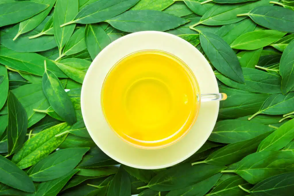 Stay Hydrated with Herbal Teas