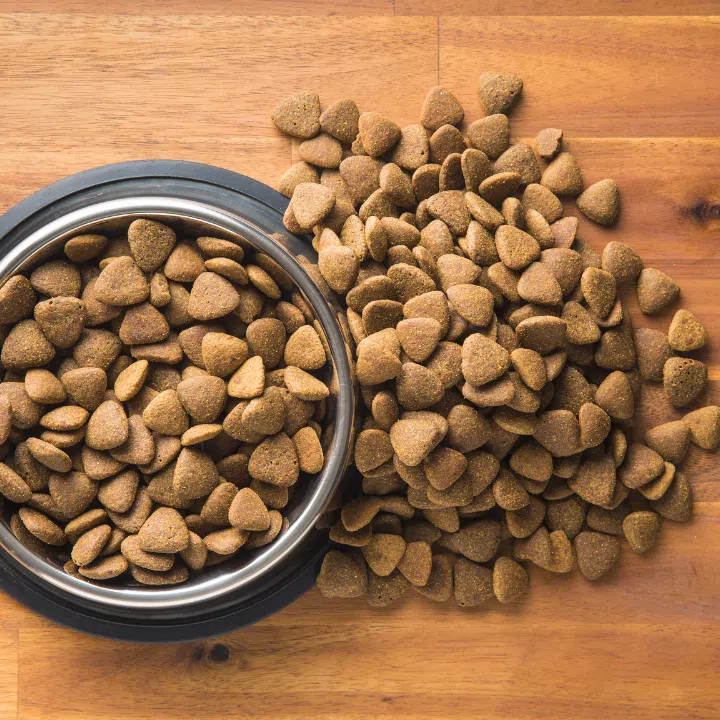 3. ANSWERS Pet Food Straight Chicken Formula for Dogs