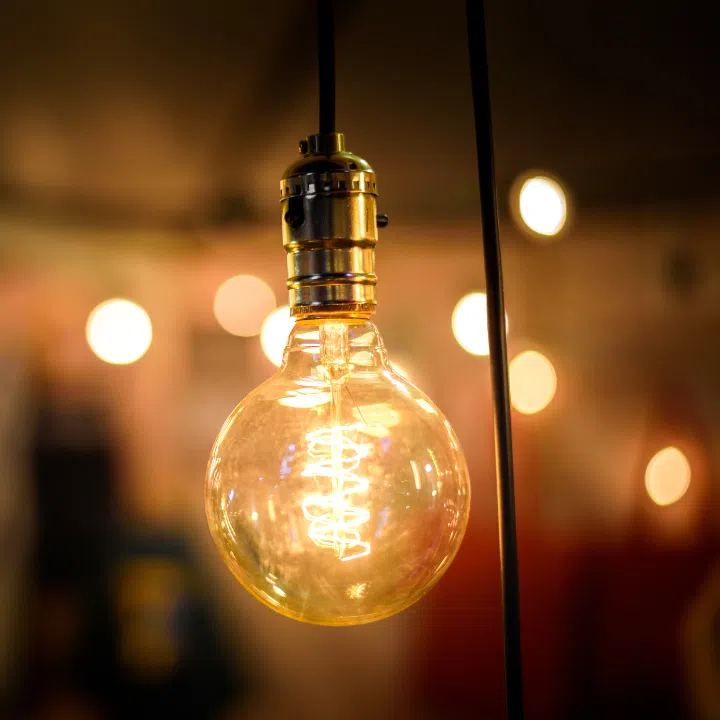 5. Incandescent Light Bulbs