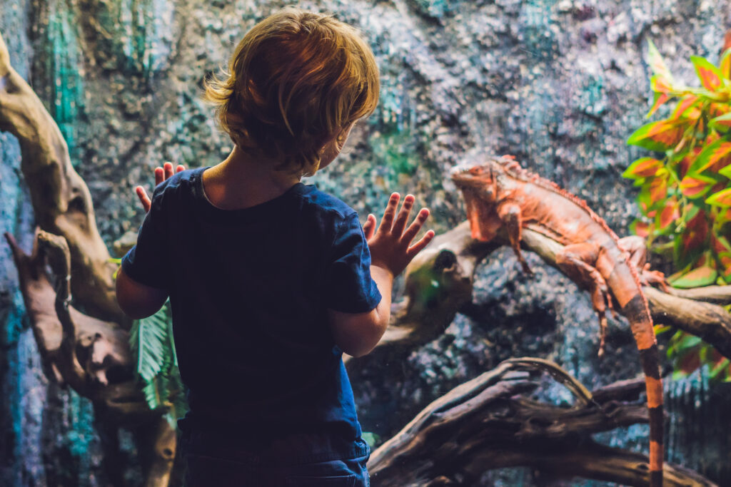 gifted child behavior