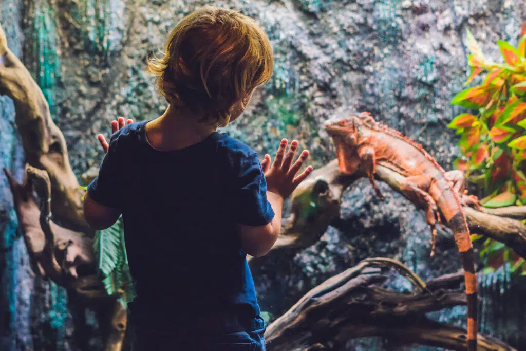 gifted child behavior