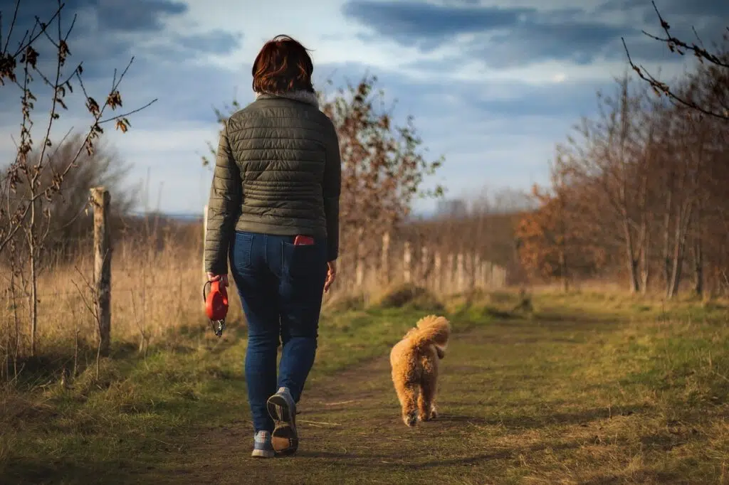 Go for walks to occupy your time
