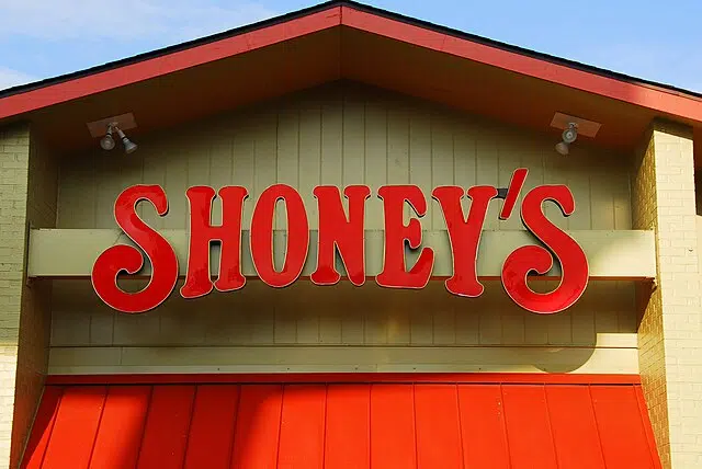 41. Shoney's