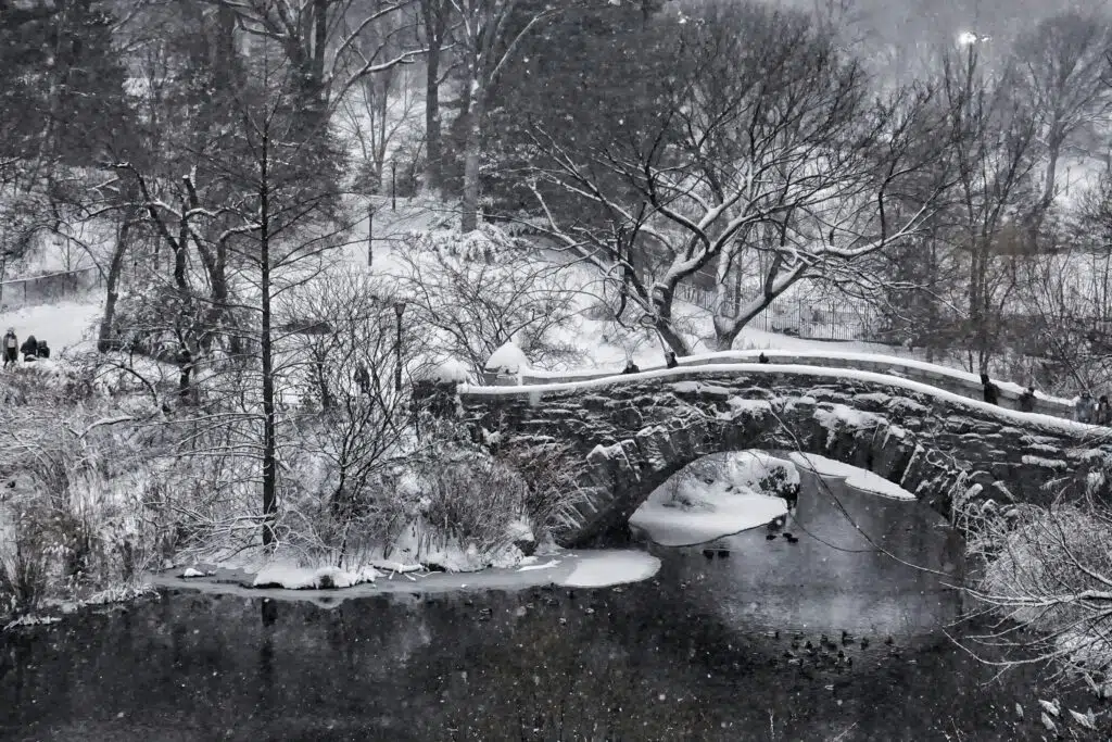 central park