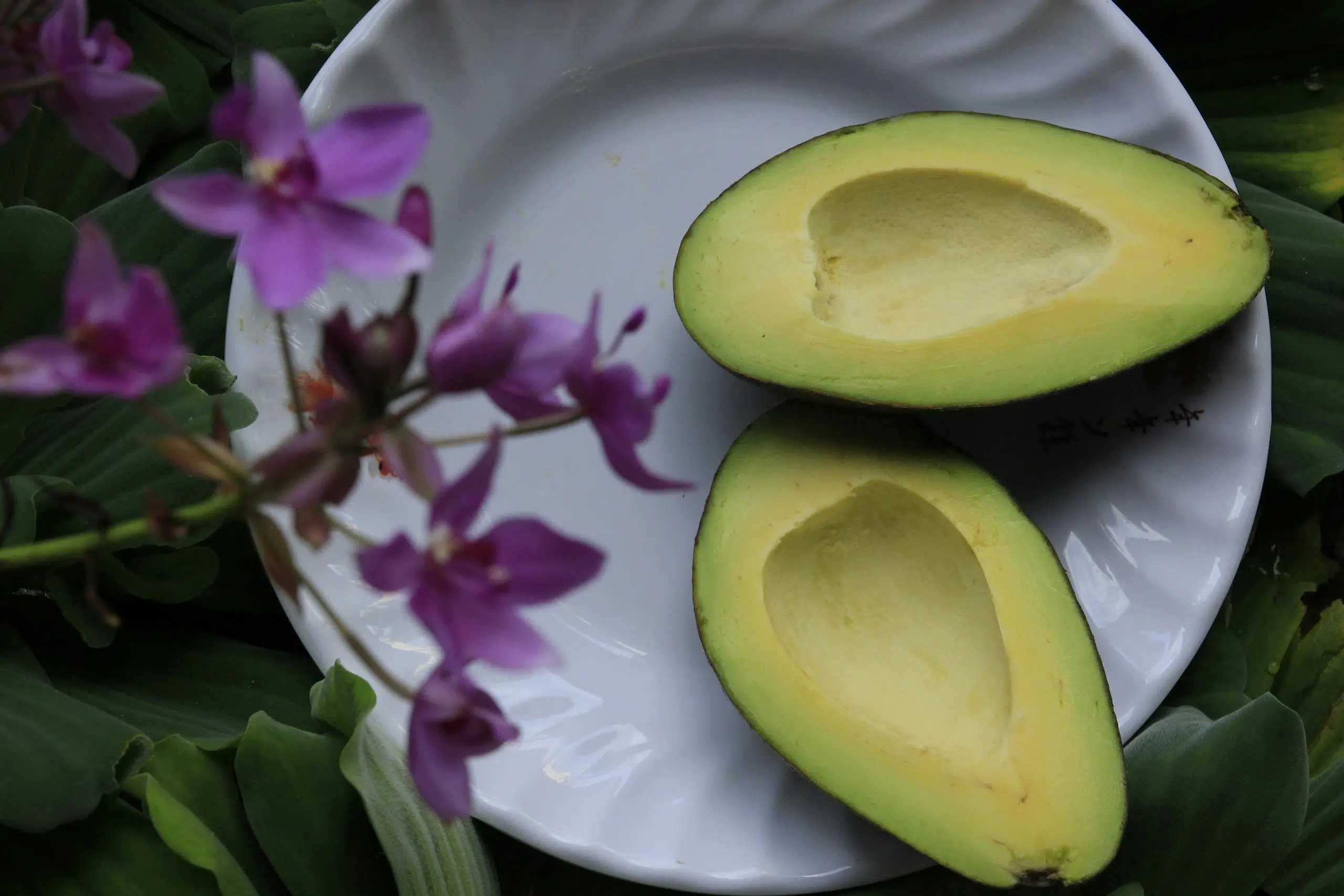 Fresh sliced avocado on white dish with vibrant purple orchids.