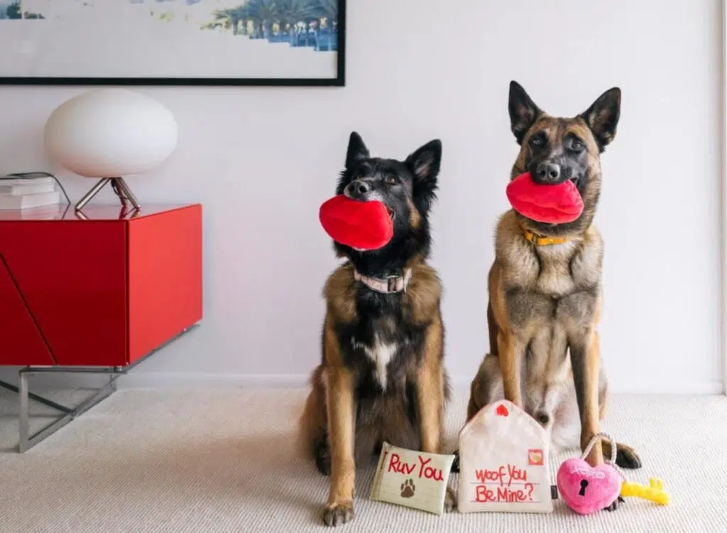 Start Looking For The Perfect Valentine's Day Selections For Someone Special In Your Life